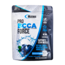 BCCAS METFORCE