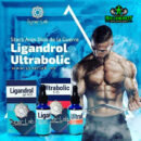 Combo dios de la guerra ligandrol ultrabolic Synerlab sarms Big Depot original